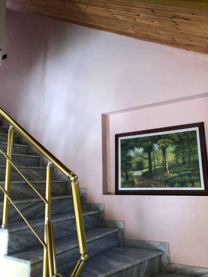 Vila Deni Tushemisht Luaran gambar